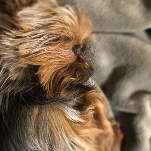 Meet your Posher, Macy